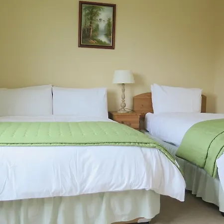 Adare House 4*