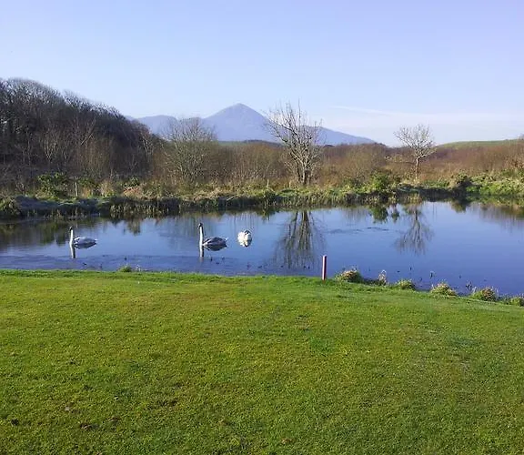 Bed & Breakfast Adare House